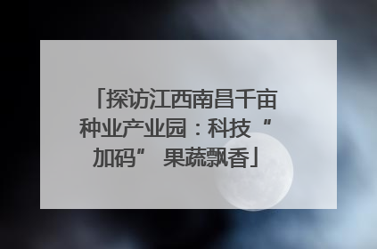 探访江西南昌千亩种业产业园：科技“加码” 果蔬飘香